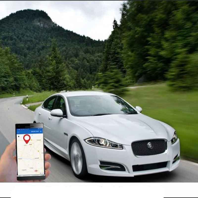 Car GPS Tracking System